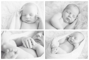 Indianapolis Newborn Photographer, Indianapolis Baby Photographer, Indianapolis Family Photographer