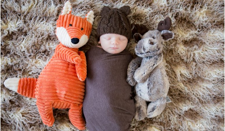 Jonas and His Woodland Friends –  Indianapolis Newborn Photographer