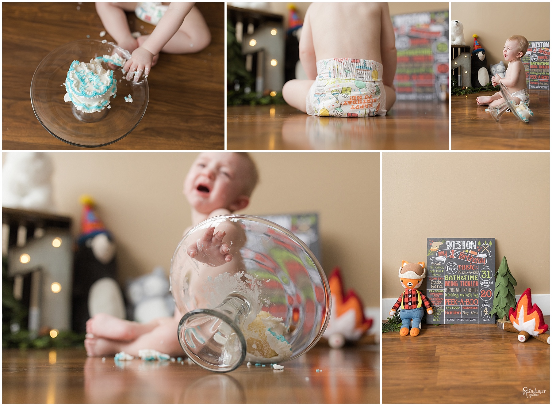 One year old baby boy enjoying his first birthday smash cake by Raindancer Studios Indianapolis Family Photographer Jill Howelll