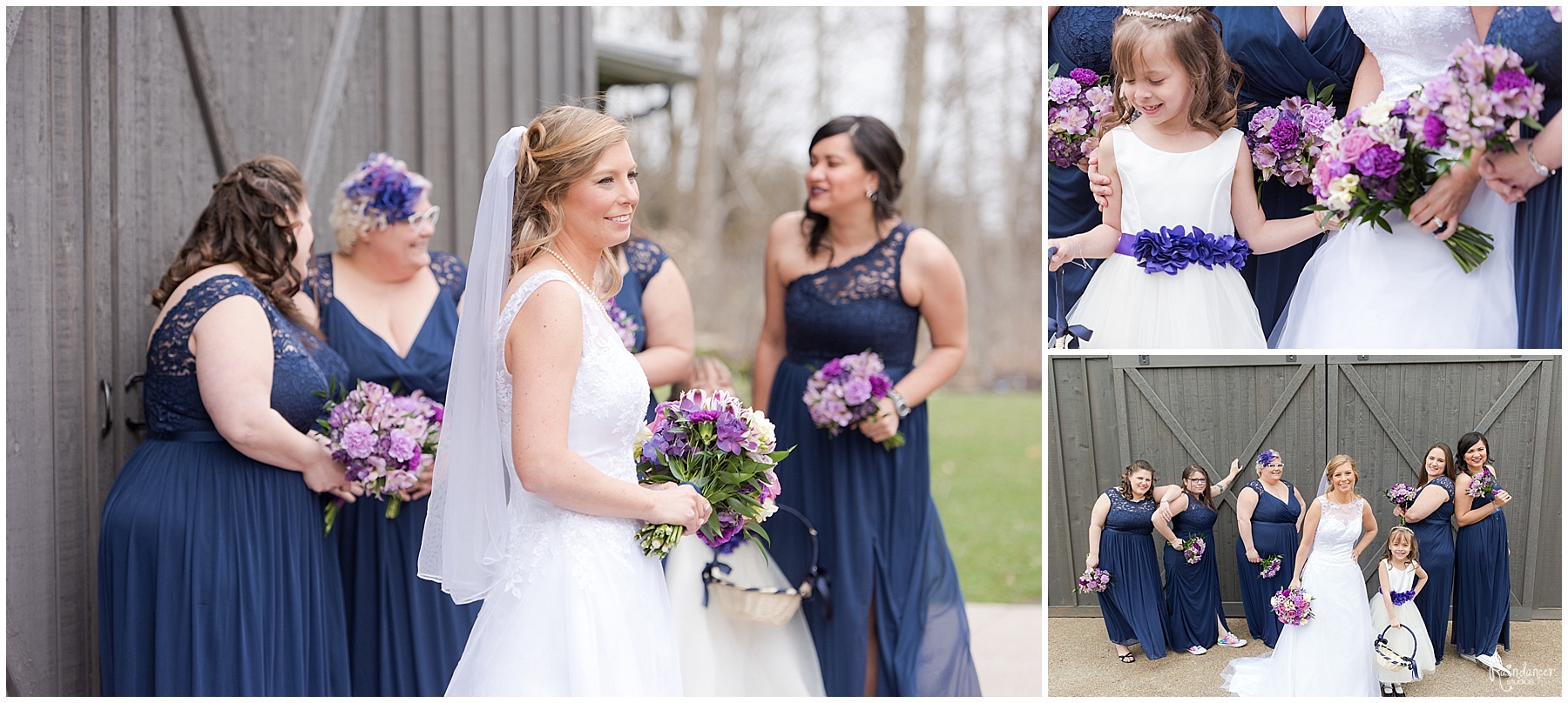 Bride with bridal party and flower girl by Raindancer Studios Indianapolis Wedding Photographer Jill Howell