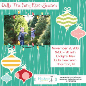 Dulls Tree Farm Holiday Mini Sessions 2018