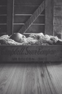 Indianapolis Newborn Photographer-46 